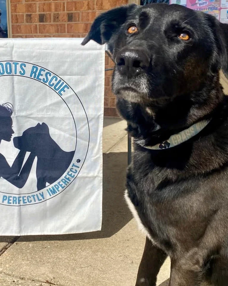 Yappy Hour with Grass Roots Rescue